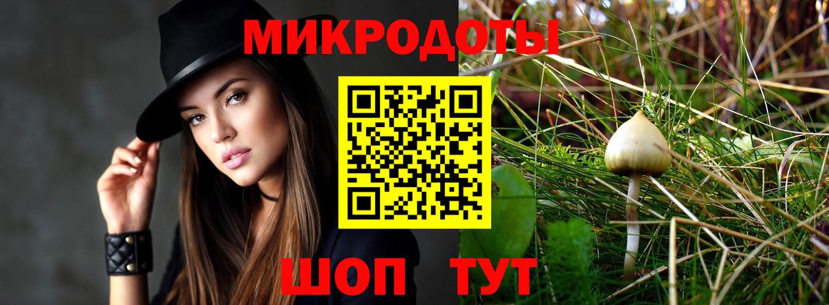 Галлюциногенные грибы GOLDEN TEACHER Нижний Новгород