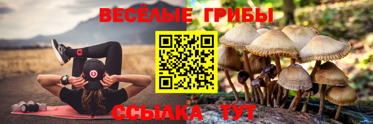 Галлюциногенные грибы мицелий  Псилоцибиновые грибы мухоморы  Вход с VPN  Нижний Новгород 